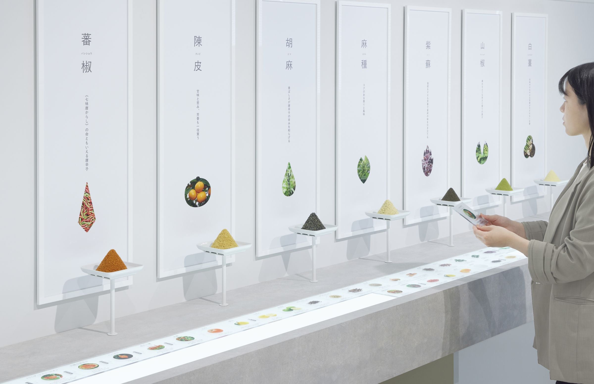 八幡屋礒五郎　CEVEN LAB5